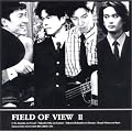 FIELD OF VIEW II
