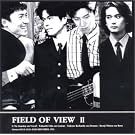 FIELD OF VIEW II
