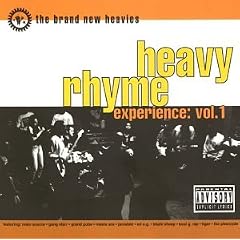Heavy Rhyme Experience, Vol. 1