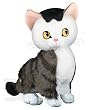 �S�[���f���u�b�N The Shy Little Kitten�ʂ������