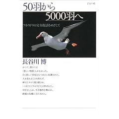 50�H����5000�H�ց\�A�z�E�h���̊��S�������߂�����