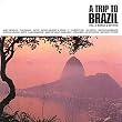 Trip to Brazil Vol 2