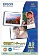 EPSON �ʐ^�p���G���g���[ ���� A3�m�r20������ KA3N20SEK