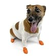 Pawz �|�E�Y�h�b�O�u�[�c 12�Z�b�g XS�T�C�Y