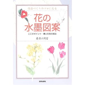 �Ԃ̐��n�}�ā\��i�Â���̃v���ɂȂ� �������|�C���g �n�ƍʐF�̕`�@