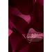 2011.10.10 SPECIAL LIVE AT BLUE NOTE TOKYO(���񐶎Y�����) [Blu-ray]