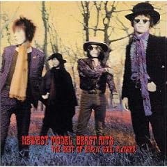 BEAST HITS�`THE BEST OF  EARLY SOUL FLOWER