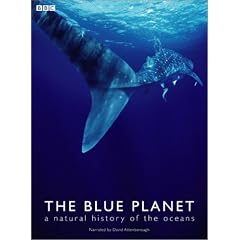 �u���[��v���l�b�g DVD-BOX