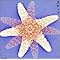 i love SPITZ !!! �F�j