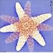 i love SPITZ !!! �F�j