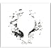 Sigur Ros�̂�����