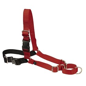 Premier ���U���Ђ��ς葦�����n�[�l�X �C�[�W�[�E�H�[�N�n�[�l�X M�T�C�Y�E���b�h EWH HC M RED