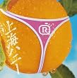 ��C�n�j�[         (CCCD)