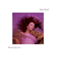 HOUNDS OF LOVE(analog)
