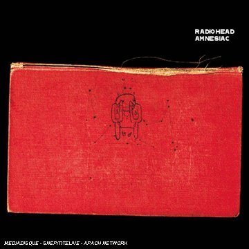  Amnesiac