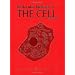 ���̃��}���ƃT�C�G���X-centrosome, chromosome & cancer-