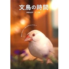 �����̎��ԁ\���Ȃ��ɓ`��������������̃t�H�g���b�Z�[�W