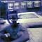 Musicfan-Rock/pop