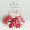 journey(��������)