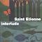 ��saint etienne lover��