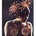 BOHEMIAN SUMMER 2000 [DVD]