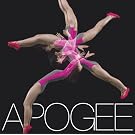 �S�[�X�g�E�\���O