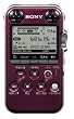 SONY ���j�APCM���R�[�_�[ M10 ���b�h PCM-M10/R