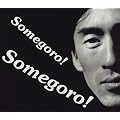 Somegoro!�\����� �s����ܘY �ʐ^�W