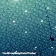 Everything Under the Sun