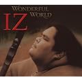 Wonderful World (Dig)