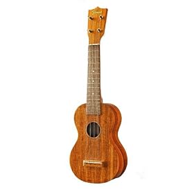Famous �E�N���� FS5