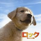 �I���W�i���T�E���h�g���b�N�u���b�N~��񂱂̓�~�v
