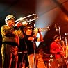 Fat Freddy's Drop�_�̉摜