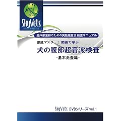 �O��}�X�^�[! ����Ŋw�Ԍ��̕��������g�����@-��{������- [DVD]