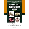 �J���[�A�g���X�b���U�w�q�㊪�r