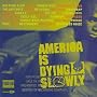 America is Dying Slowly