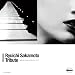 ��{����g���r���[�g -Ryuichi Sakamoto Tribute-