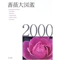 �K�N��}��2000
