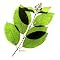 �D������