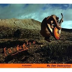 My Own Destruction