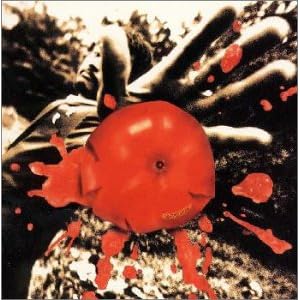 【クリックで詳細表示】孤独の太陽