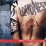 TRIBUTE TO LOUDNESS~Rock�fn Roll Crazy Night