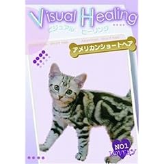 VisualHealing�A�����J���V���[�g�w�A 3 [�����^������] [DVD]