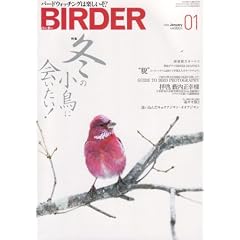 BIRDER (�o�[�_�[) 2008�N 01���� [�G��]