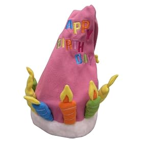 HAPPY BIRTHDAY HAT