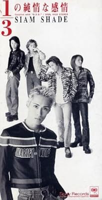  1/3の純情な感情