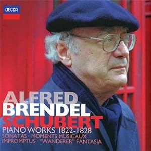 【クリックで詳細表示】Schubert： Piano Works 1822-1828 [Box set， CD， Import]