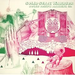 Solid State Warrior