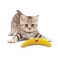 Petstages �u�[��������o�f�B PTPS331