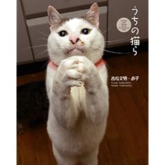 �����̔L��